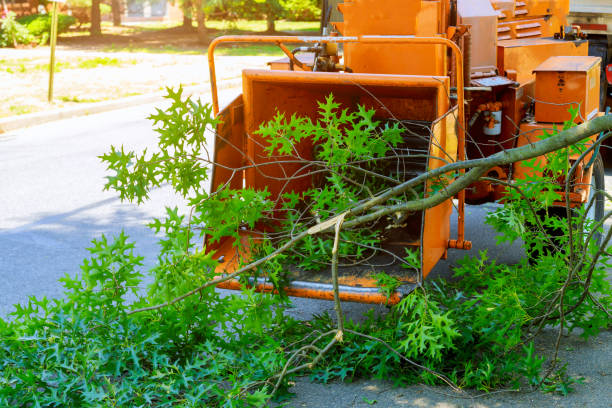 Lawn Grading and Leveling in Midway, NC